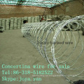 Concertina wire para la venta